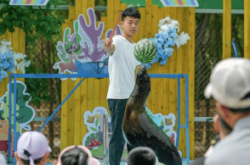 赤峰荊棘萌寵樂園電話號(hào)碼查詢