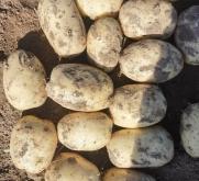 赤峰圍場糧貿(mào)公司電話多少號