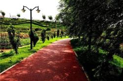 赤峰市綠花香養(yǎng)生館電話號碼