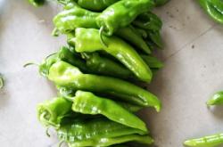 赤峰市辣椒代辦公司電話號碼