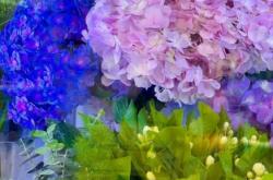 赤峰花店送花電話