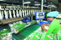 赤峰手套廠家電話多少號(hào)