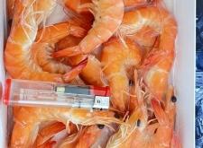 赤峰凍蝦批發(fā)電話多少號