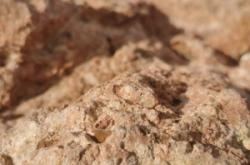 赤峰紅山馬戲團(tuán)電話多少號(hào)