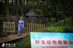 赤峰市動物救助站電話號碼