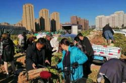 赤峰松山區(qū)城管舉報(bào)電話是多少