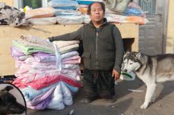 赤峰流浪狗救助站電話號碼