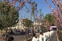 赤峰櫻花街道電話號碼是多少號