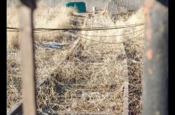 赤峰北道糧庫電話多少號碼