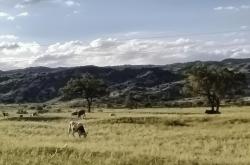 赤峰原藝奶糖廠地址電話號(hào)碼