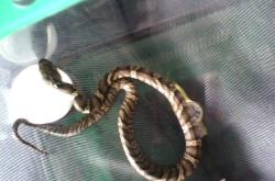 赤峰蒙族戒指批發(fā)市場電話號碼