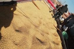 赤峰大豆補貼多少錢一畝