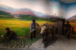 赤峰林西糧食局局長電話號碼