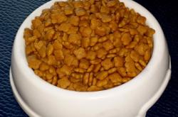 赤峰寵物狗糧批發(fā)電話號(hào)碼