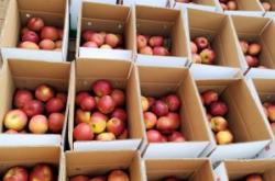 赤峰蘋(píng)果直售店電話(huà)號(hào)碼查詢(xún)