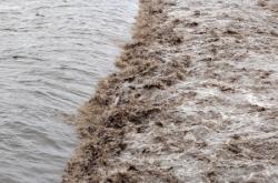 赤峰海明工作室地址電話號碼