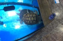 赤峰花卉市場水族館電話號碼