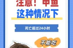 赤峰燉甲魚團(tuán)購(gòu)群電話號(hào)碼