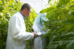 赤峰蔬菜加工廠電話號碼多少