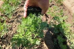 赤峰三合家紡電話號碼查詢