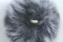 赤峰兔毛回收公司地址電話號(hào)碼