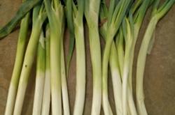 內(nèi)蒙赤峰附近收蔥老板的電話是多少