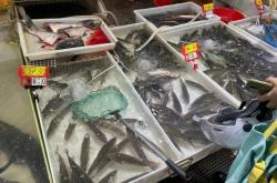 赤峰鱸魚(yú)養(yǎng)殖基地電話號(hào)碼查詢