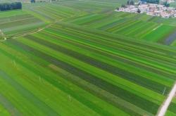 赤峰東站站長(zhǎng)是誰(shuí)啊電話是多少