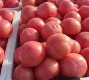 赤峰市分揀中心電話號(hào)碼查詢