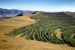 赤峰惠心云舍電話多少號碼