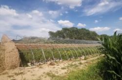 赤峰畜牧養(yǎng)殖場(chǎng)出租電話號(hào)碼