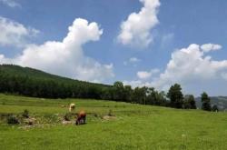 赤峰到喀左的拼車電話號碼