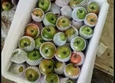 赤峰水果加工廠電話多少號