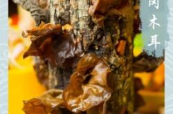 赤峰老梁火鍋店地址電話號碼