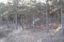 赤峰寧城膠粘管廠電話號(hào)碼查詢