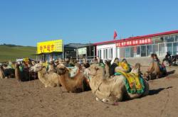 赤峰家多福超市電話號碼查詢