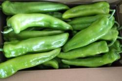 赤峰蔬菜基地電話號碼多少