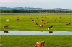 赤峰赤鸚堂地址電話號(hào)碼查詢