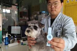 赤峰市養(yǎng)犬證辦理電話號(hào)碼