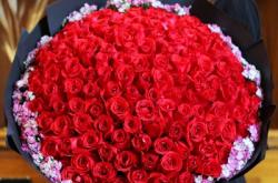 赤峰玫瑰花同城配送電話號(hào)碼