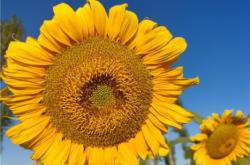 赤峰向陽理發(fā)店電話多少號(hào)