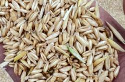 赤峰收牛客商家電話地址查詢