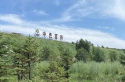 赤峰翻斗車隊(duì)電話號(hào)碼查詢