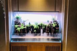 赤峰市魚缸維護電話地址查詢