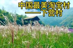 赤峰賈營子村電話號碼是多少