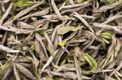 赤峰白毫銀針廠家地址電話號碼