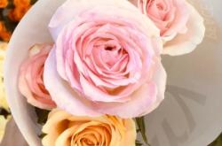 永業(yè)花店赤峰店地址電話號(hào)碼