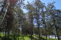 赤峰橋邊邊地主烤肉電話號碼