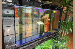 赤峰赤亭日料店電話號(hào)碼