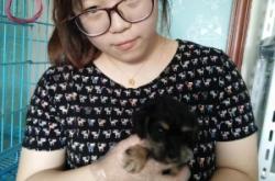 赤峰領(lǐng)養(yǎng)小動(dòng)物電話地址查詢